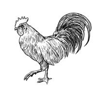 TA-KĀ