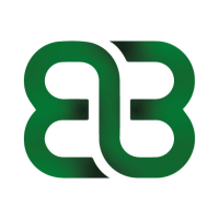 Baudouin Audit Prévention et Expertise  (BAPE)