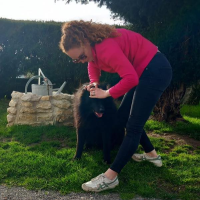 Julie Briançon - Ostéopathe Animalier