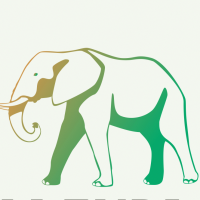 Dream Explorer Tours and Safaris