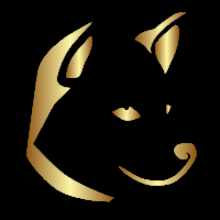 Toelettatura One Dog Show