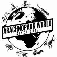 Arachnopark World