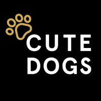 CUTEDOGS