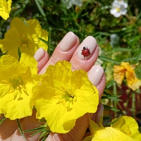 Marine Prothésiste ongulaire