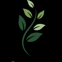 Ymene KALIFA- Naturopathe fonctionnelle