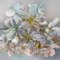 Liza GC - Art & Make-up