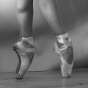 The Art of Ballet Studio