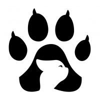 "Macskaköröm" Stúdió