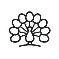 Alessandro Express Nail Studio