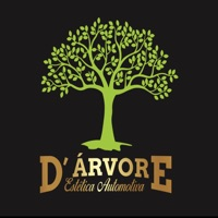 D’ árvore l Estética Automotiva Premium