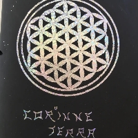 Corinne REY dit TERRA