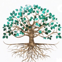 Caroline Verdari - Kinésiologue