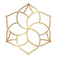 MindSpace Wellness