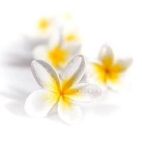 Étincelle Bien Être Carpe Diem✨