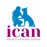 ICAN - Sesión Estudio, Diagnóstico y Plan de Actuación.