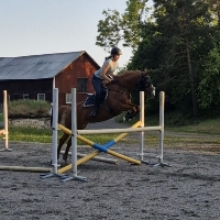 Bianca Wåhlin Damberg