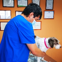 Dr. Siegfried Carrera A.