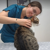 Amélie Tomasini - Ostéopathe Animalier OA1471