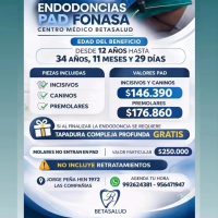Rodrigo Negrete Cirujano Dentista Endodoncias Incisivos, Caninos
