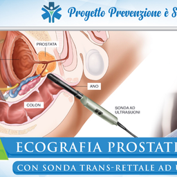 Ecografia Trans- rettale (Prostatica) con Urologo